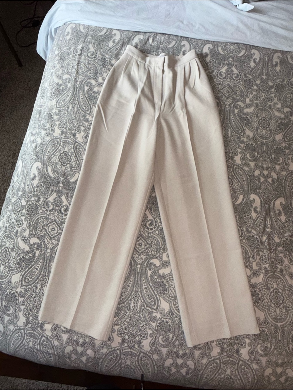 Ladies Pleated Trousers in Beige